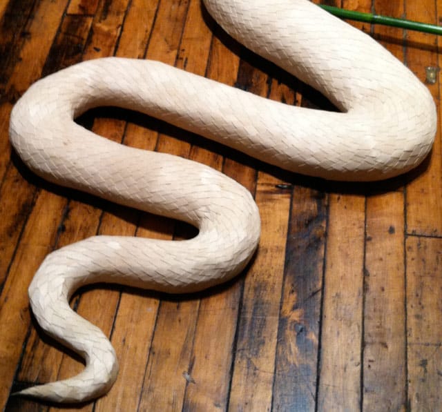 A detail of Annesofie Sandal's snake tail