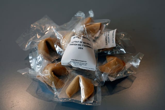 UBIK, "Portrait of an Artist through His Statements" (2012)