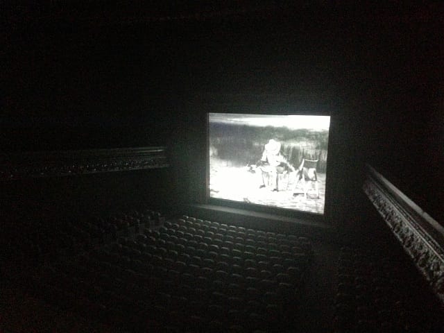 Cardiff Miller Muriel Lake Indicident 01