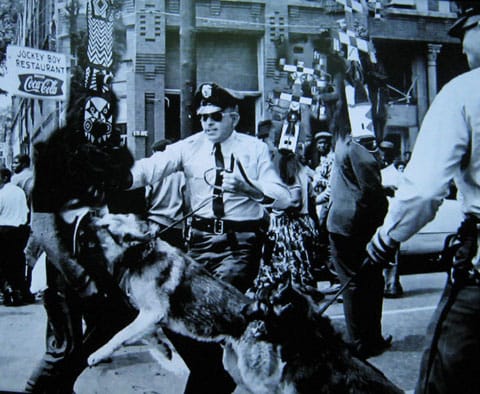 SOL SAX, The DogOn Protestor Series, 2013, Digital collage on monitor