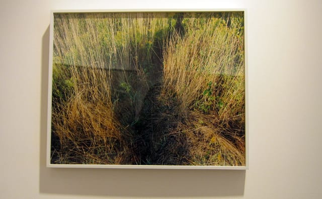 Photograph by Katherine Wolkoff at Sasha Wolf Gallery