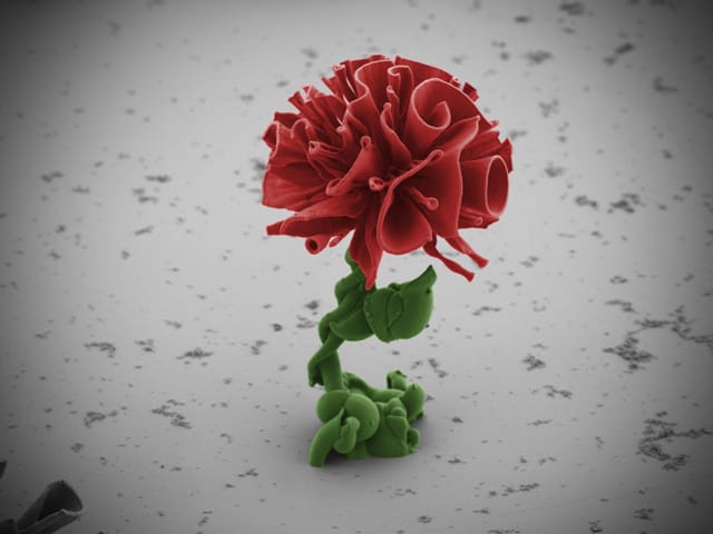 Nanoflowers