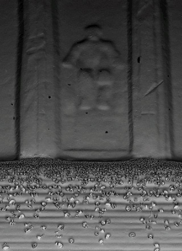 Nanoflowers "growing" on the stops of the Lincoln Memorial on a penny
