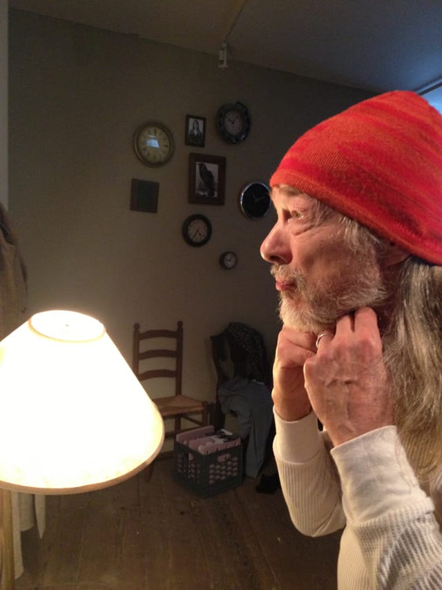 One Day in the Life of Henri Shnuffle