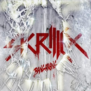 Skrillex2