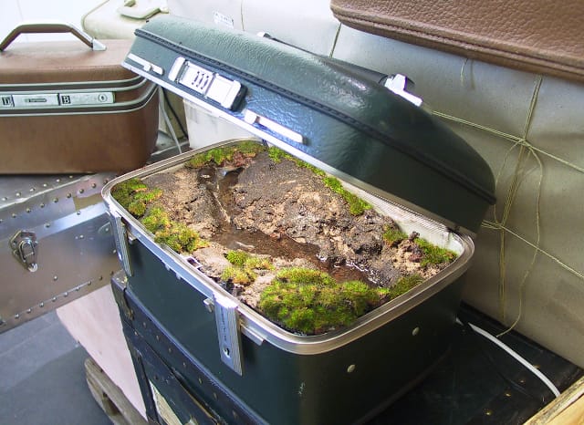 A work by Kathleen Vance