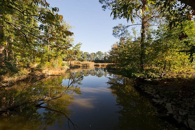 A view of the James River in Williamsburg, Virginia (photo by Xavier de Jauréguiberry on Flickr)