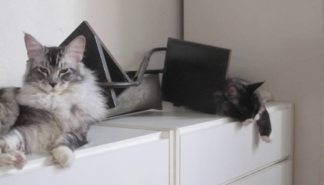 Marsden and Beatrix in a work by Fauteux.