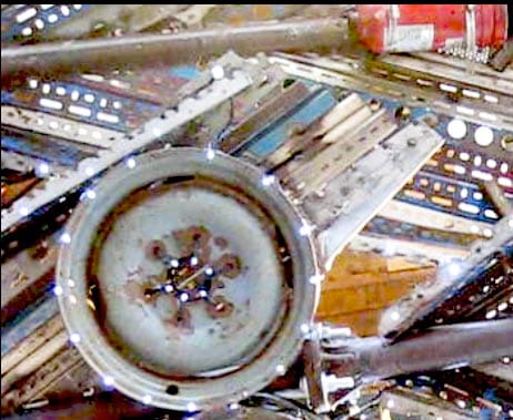 Phoneix, underbelly detail,