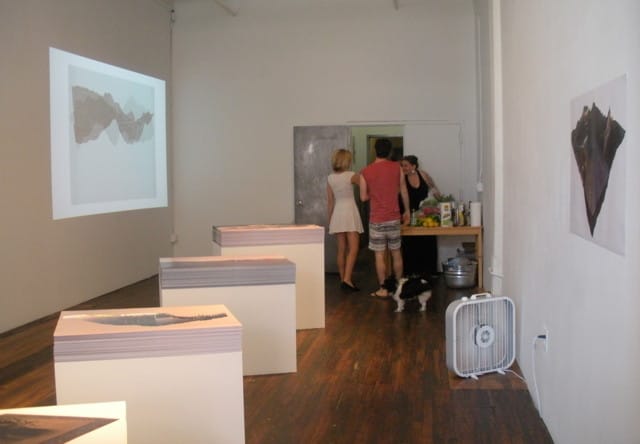 "Rick Silva: En Plein Air" at Transfer gallery, installation view (all photos by the author for Hyperallergic)