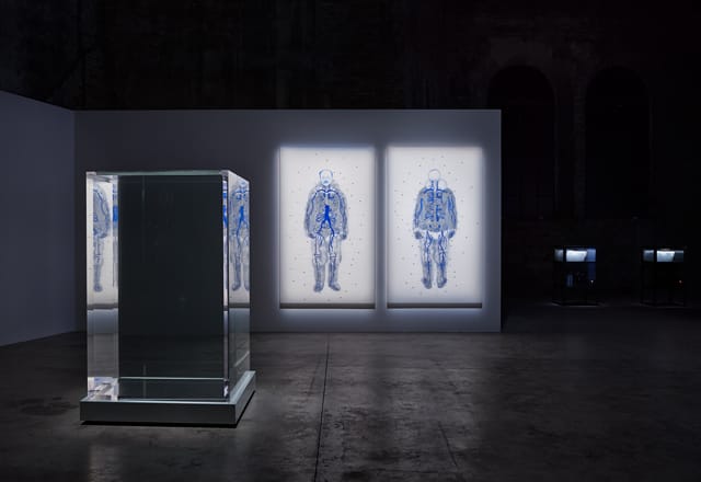 Tavares Strachan "Polar Eclipse" installation at the Venice Biennale (Photograph by Tom Powel, courtesy Fitz &Co.)