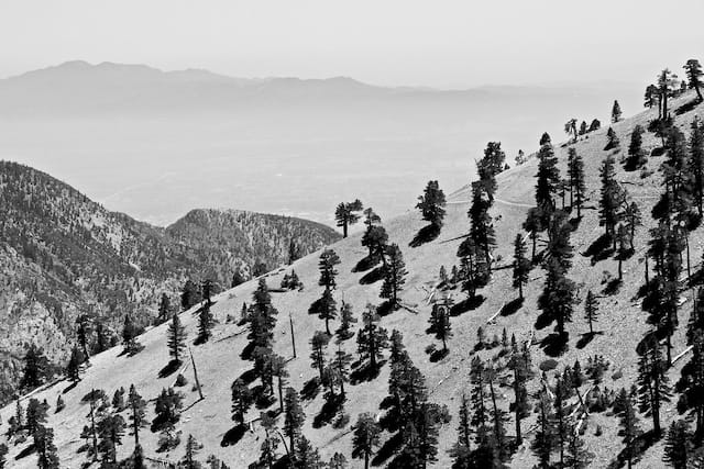 tumblr_mo3jozwiF11sump4co1_1280