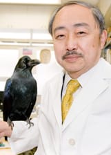 Shigeru Watanabe (via Keio University)