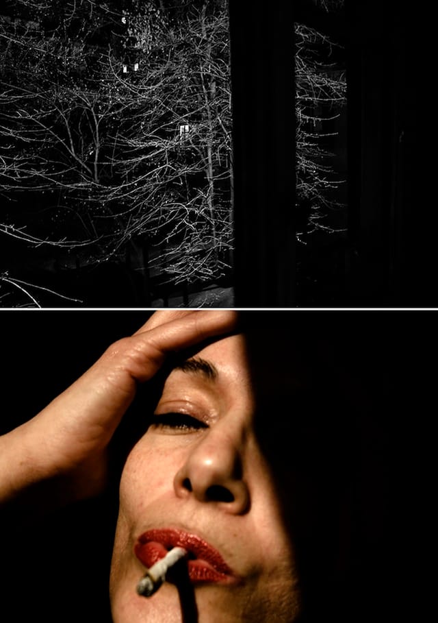 Dana de Luca, "Self in Diptych" (2013)