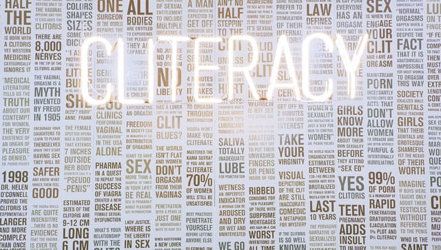 Sophia Wallace, "Cliteracy: 100 Natural Laws" (2013) (image courtesy of the artist)