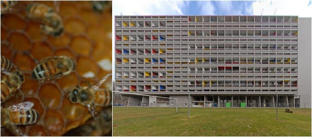 A bee hive (via Wikimedia); Le Corbusier's Unité d'habitation (photograph by Seb Perez-Duarte/Flickr user)