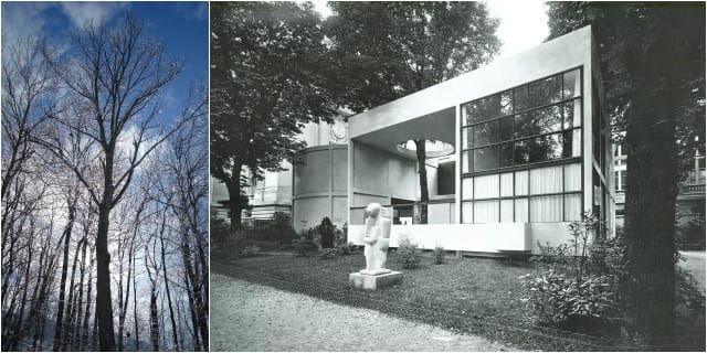 Trees (via Wikimedia); Le Corbusier's Pavillon de L'Esprit Nouveau (via strabrecht.nl)