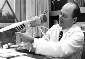 (via imaginesciencefilms.org)