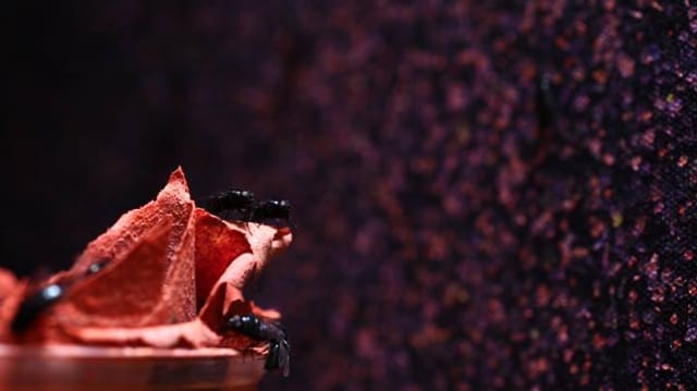 Still from MOCAtv's visit to the studio of John Knuth (via MOCA)