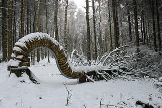 Philippe Handford, "Reconnected 1" (photograph by Philippe Handford) (click to enlarge)