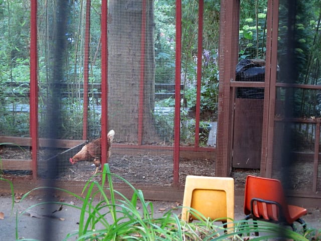 M'finda Kalunga Garden