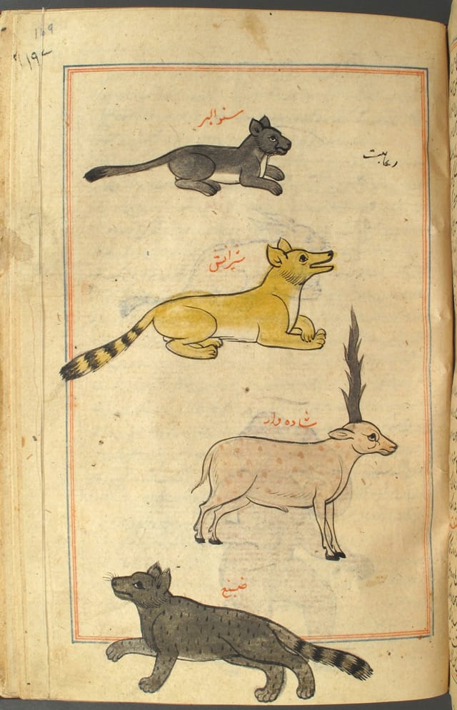 "The Wonders of Creation and the Oddities of Existence," written by Zakaria bin Muhammad bin Mahmud Abu Yahya Qazwini in Persia (1203–1283), copied in Mughal India (1701), tempera, gold, and ink on paper, 8 3/4 x 11 7/8 (courtesy U.S. National Library of Medicine, Bethesda, History of Medicine Division)