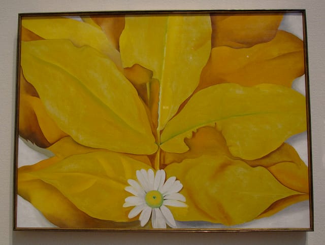 Georgia O'Keefe, "Yellow Hickory Leaves with Daisy" (1928) (image via Flickr user santanartist)