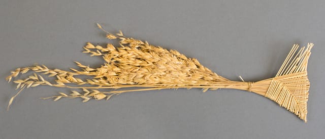A basketry artifact collected by Norman B. Tindale in North West South Australia in 1966.