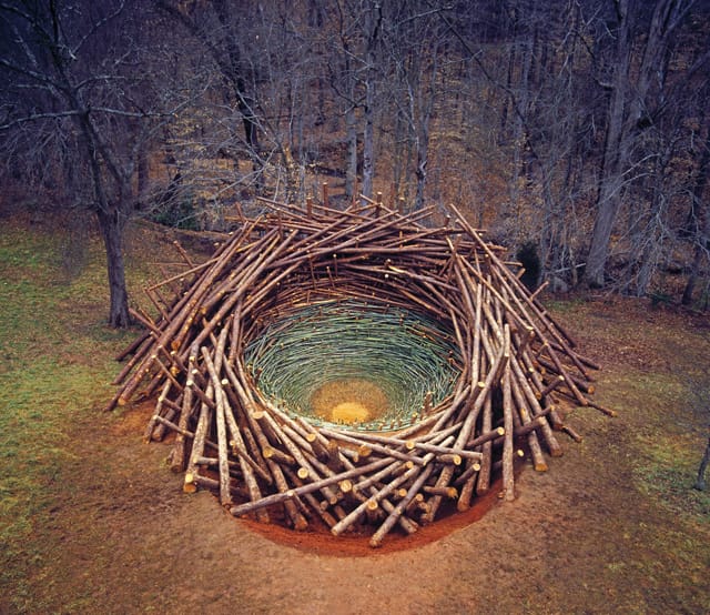 Nils-Udo, "Clemson Clay Nest," (2005), clay, pinetrees, bamboos at the South Carolina Botanical Garden (courtesy Princeton Architectural Press)