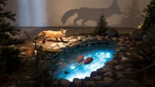 Installation view of the current SITE Santa Fe exhibition, "Enrique Martinez Celaya: The Pearl" (photo by Peter Kirby, courtesy SITE Santa Fe) (click to enlarge)