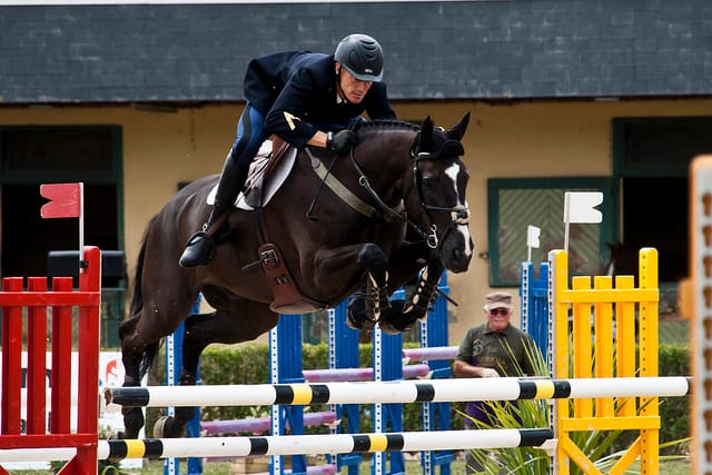 A member of the Cadre Noir in France, the elite of French practitioners of equitation (photograph by Matthieu Luna)