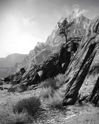 Justin Berry, "Lone Tree on Rocks" (via Justin Berry)