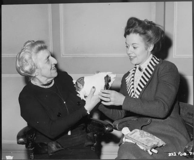 Edith Russell and the Lucky Pig