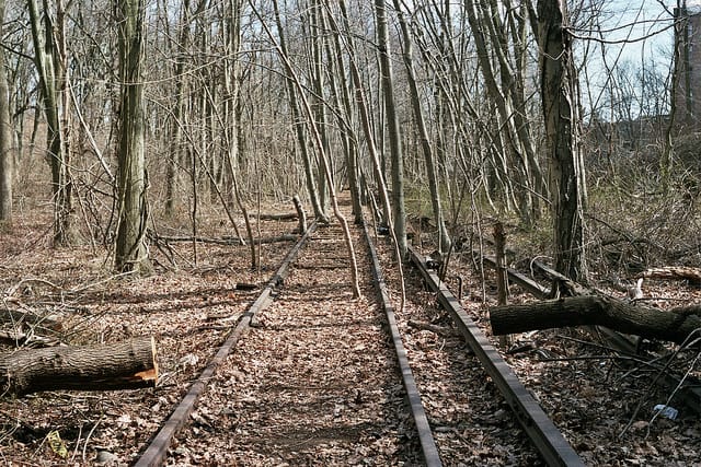 The abandoned railroad track in Queens that may be turned into a High Line-like park (photograph by Genial 23/Flickr user)