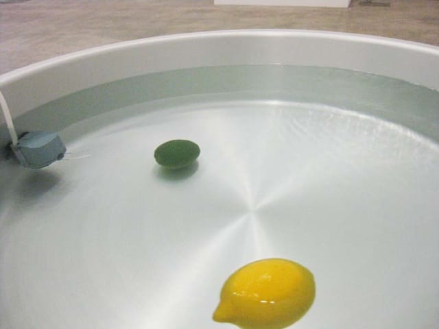 Shimabuku, "Something that Floats, Something that Sinks" (2008) (all photographs by the author for Hyperallergic)