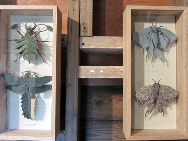 New Academy Press, "Passive Aggression" and "Aerial Aggression"