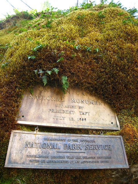 3479113138_94fe83da8a_z