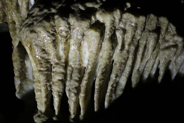 7492288480_ba734cf5e1_z