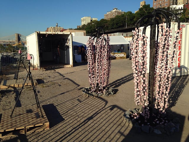 André Feliciano's "A Photographic Orchard with Cherry Blossom Trees"