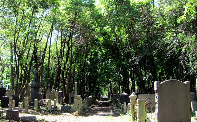 Bayside Cemetery in Ozone Park (photograph by the author for Hyperallergic)