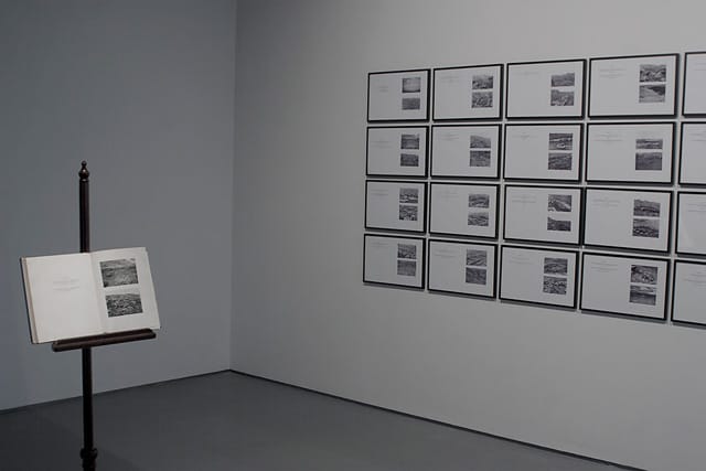 Pablo Helguera, "Rogaland" (2012), Sixty-five framed prints. 4’ 2” x 27’ 33” overall.
