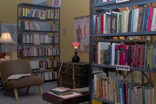 Pablo Helguera, “Librería Donceles” (2013) (click to enlarge)