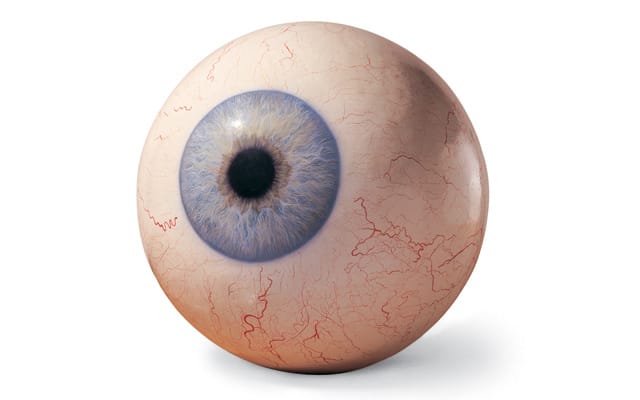 Mana-Contemporary-Eye