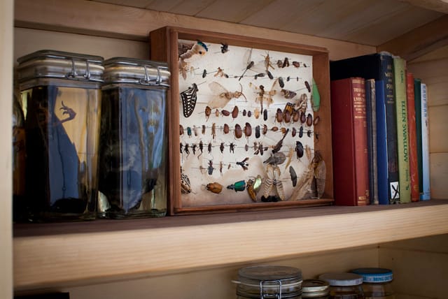 Detail of an installation in "Sweet Corruptions" at Morgan Lehman Gallery