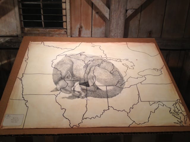 Wolf drawing, an installation in Deke Weaver's "The Unreliable Bestiary" (2013). Image courtesy of the author for Hyperallergic.