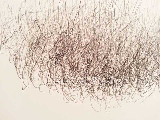 Joanne Aono, "Hashi Bridge" (detail) (2013), graphite on incised clayboard, 8" x 48"