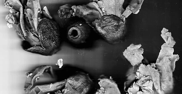 Rochelle Goldberg, #digestive eye #marvelous tea (detail)