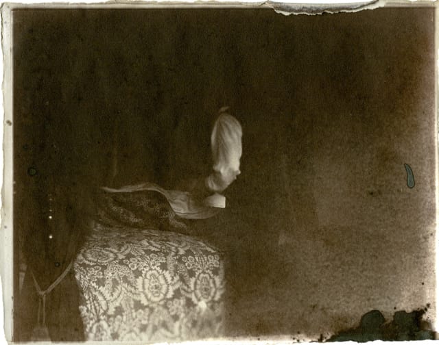 The 1865 Death and Funeral of Seabury Tredwell