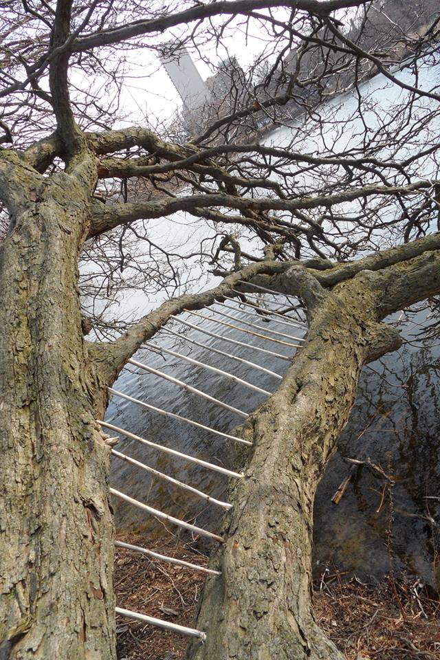 Jovancevic, "Synapse II"