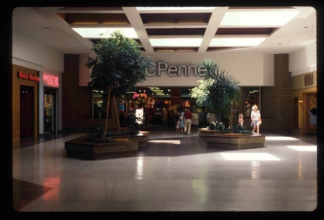 "Trees" from Michael Galinksy's project "Malls Across America"